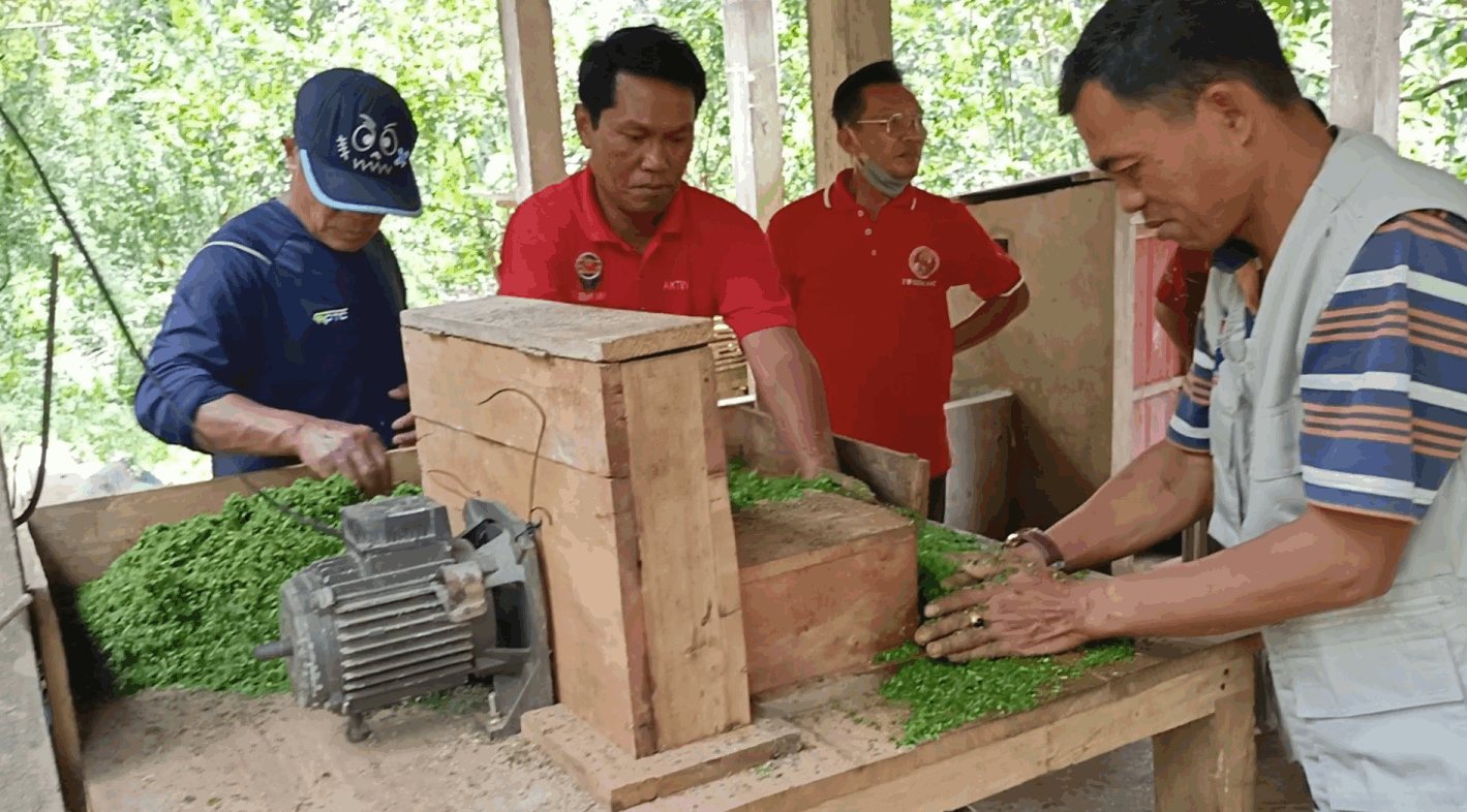 Pelatihan Pembuatan Pakan Ternak Babi Fermentasi untuk Meningkatkan Usaha Anggota